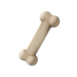 Bone Toy
