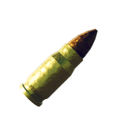Expired Bullet (L)