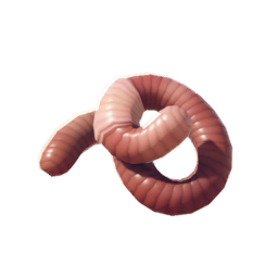Earthworm