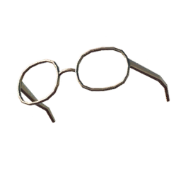 Gold Frame Glasses