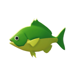 Green-yellow Porcupinefish