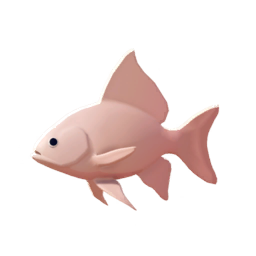 Pink Goldfish