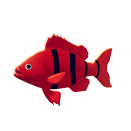 Red Banded Fish