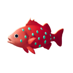 Red Spotted Grouper
