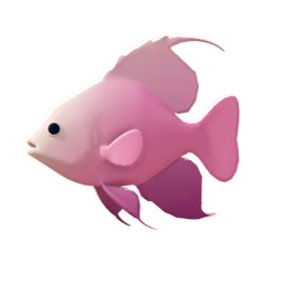 Pinkfin Flamefish