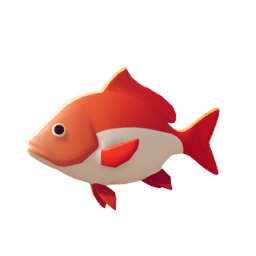 Redfin Snapper