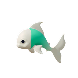 Bighead Goldfish