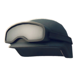 SWAT Helmet