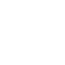 Dumbbell Shoulder Press